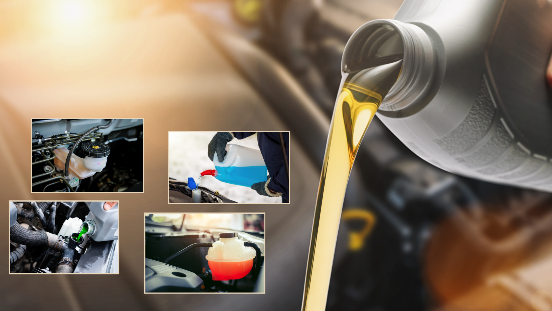 The Impact of Fluid Services on Your Vehicle's Longevity