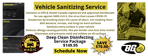 Vehicle Sanitizing Service